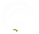 LivNSense Logo